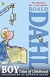 Boy : tales of childhood