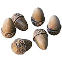 Peterson Decorative Acorns Set Of 6