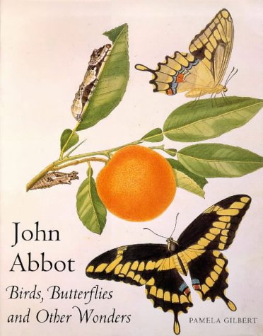 Insects