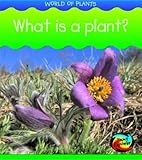 What is a plant?