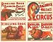 Old Ringling Brothers And Barnum Circus Poster Ads # 1 16x20 Art Print