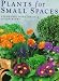 Book Plants for Small Spaces