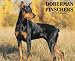 Just Doberman Pinschers 2010 Calendar