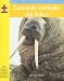 Sumando Animales Del Artico/ Adding Arctic Animals (Yellow Umbrella Books: Math Spanish)