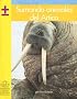 Sumando Animales del Artico (Yellow Umbrella Books: Math Spanish)