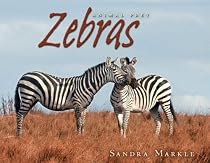 Animal Prey:Zebras (Age 8-12)