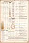 Kitchen Conversion Chart - Magnetic