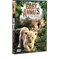 Baby Animals in the Wild (3 Hour Documentary)