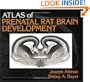 Atlas of Prenatal Rat Brain Development