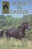 Horse in Danger (Usborne Sandy Lane Stables)
