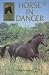 Horse in Danger (Usborne Sandy Lane Stables)