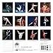 Royal Ballet wall calendar 2017 (Art calendar)