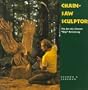 Chainsaw Sculptor: The Art of J. Chester "Skip" Armstrong (Folk Art and Artists)