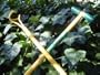 Weed Puller Twister Remover Ergonica Ergonox 42
