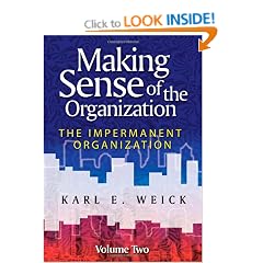 Making Sense of the Organization, Volume 2: The Impermanent Organization