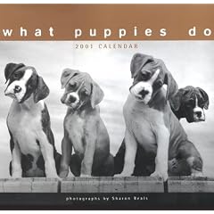 What Puppies Do 2001 Wall Calendar