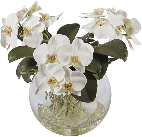 Jane Seymour Botanicals Orchid Phalaenopsis in Pot, 11-Inch, White