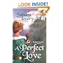 A Perfect Love (Time Passages)