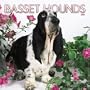 Basset Hounds 2005 Wall Calendar