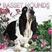 Basset Hounds 2005 Wall Calendar