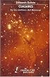 Cuasares. En los confines del Universo (Seccion de Obras de Ciencia y Tecnologia) (Spanish Edition)