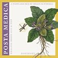 Posta Medica: Healing Herbs Old and New - Boxed Postcard Set by Helen Buttfield