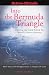 Into the Bermuda Triangle: Pursuing the Truth Behind the World's Greatest Mystery