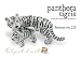 Objet D'Art Release #225 "Panthera Tigris" Critically Endangered Species White Tiger with Cub Handmade Jeweled Enameled Metal Trinket Box_s-2