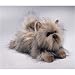 Plush Yomiko Cairn Terrier Sm 12