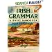 Irish Grammar: A Basic Handbook