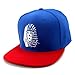 DG GOLD New Last Kings Snapback Hat Cap Red Sankeskin Leopard (Blue & Red-LK)