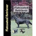 Flat Coated Retriever Dog Breed Book