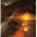 If I Could Only Remember My Name (180 Gram Vinyl LP)