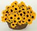 Send Fresh Cut Flowers - 20 Sunflowers