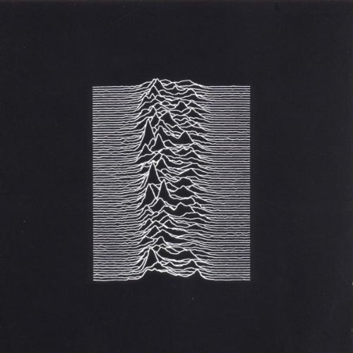ARCHIVUM: Joy Division 大型洋書新品サイン入り Joy Division / Unknown Pleasures [1979] - At First Light