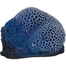 Fake Coral