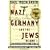 Nazi Germany and the Jews: Volume 1: The Years of Persecution 1933-1939