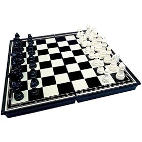 Magnetic Chess by Educational Insights