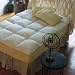 Pacific Coast Feather Bed - Baffle Box