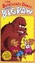 The Berenstain Bears Meet Big Paw [VHS]
