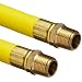 Unisource 2107 Nitrile Chemical Hose Assembly, MPT Connection