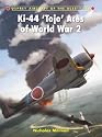 (KI-44 'Tojo' Aces of World War 2) By Millman, Nicholas (Author) Paperback on (10 , 2011)