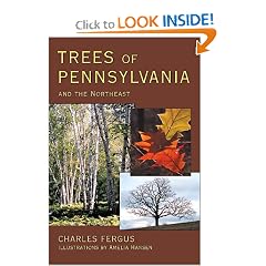 Trees of Pennsylvania and the Northeast