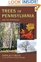 Trees of Pennsylvania: and the Northeast