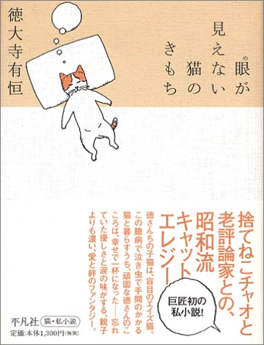 眼が見えない猫のきもち