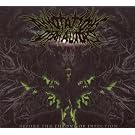 Before The Throne Of Infection