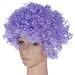 Party Disco Rainbow Afro Clown Hair Football Fan Adult Child Costume Curly Wig Purple