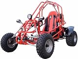 250cc Go Kart Water Cooled CVT