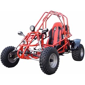 250cc Go Kart Water Cooled CVT by