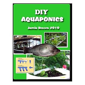 diy aquaponics